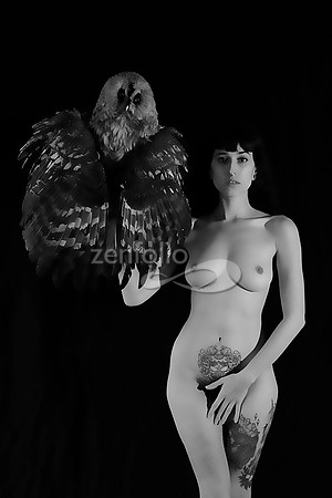 Nude With Owl