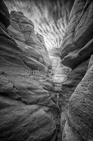 White Place