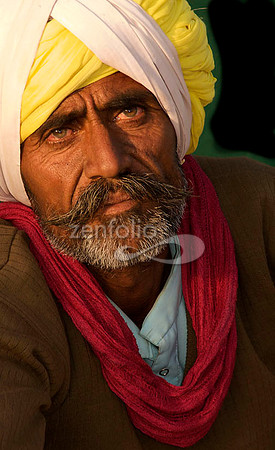 Camel Trader